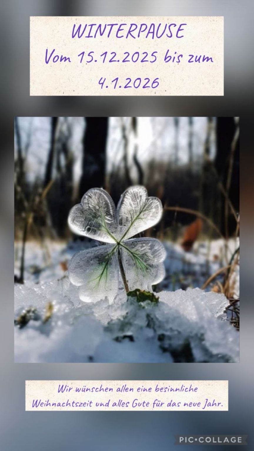 2025 12 Kleeblatt Winterpause für Tür Büro